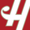 Holidynamics single H logo