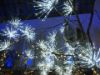 Picture of 24" LED Spritzer, Pure White