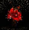Picture of 24" LED Spritzer, Red
