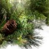 Picture of Mixed Noble Wreath 36", Classic White