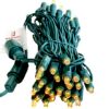 Picture of Dynamic RGBWW 5MM 50 Count, 4" spacing, Green Cord