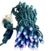 Picture of Dynamic RGBWW 5MM 50 Count, 4" spacing, Green Cord