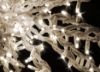 Picture of 48" LED Oversized Spritzer, Classic White