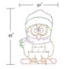 Picture of Christmas Owl on Candy Cane 45"