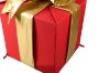 Picture of 3D Nylon Gift Box 24", Red with Gold Mylar Bow