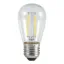 Picture of Low Voltage Edison Bulb