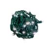Picture of 5MM 50L 4" Spacing LED Pure White Gr Cord