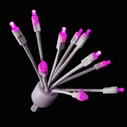 Picture of C9 Glitzer - Twinkle Pink lights w/white base
