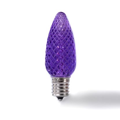 Single C9 bulb, purple, on white background