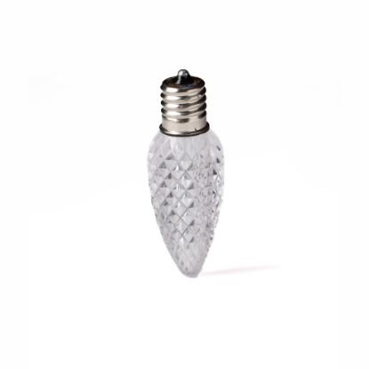 Single C9 bulb, warm white, on white background
