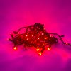 Dynamic RGBWW 3MM 50 Count lit, red