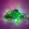 Dynamic RGBWW 3MM 50 Count lit, christmas