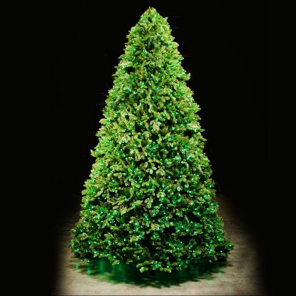 Slender Noble 10 foot artificial Christmas tree, spotlit and lighted on black background with wooden floor.
