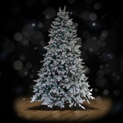Full Noble 9 foot flocked Christmas tree, spotlit and lighted on black background with wooden floor.