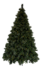 7.5 foot Full Scotch Pine artificial Christmas tree, displayed unlit floating on white backdrop