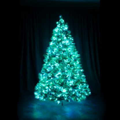 7.5 foot Full Scotch Pine artificial Christmas tree, displayed lit teal on black backdrop