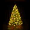 10 foot Full Scotch Pine artificial Christmas tree, displayed lit harvest colors on black backdrop