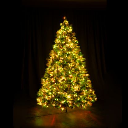 10 foot Full Scotch Pine artificial Christmas tree, displayed lit harvest colors on black backdrop