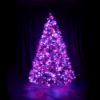 10 foot Full Scotch Pine artificial Christmas tree, displayed lit yellow on black backdrop