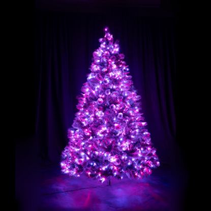 12 foot Scotch Pine artificial Christmas tree, displayed lit berry on black backdrop