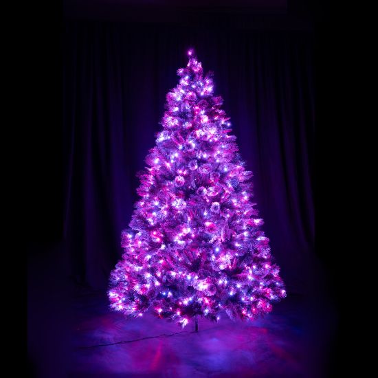 12 foot Scotch Pine artificial Christmas tree, displayed lit berry on black backdrop
