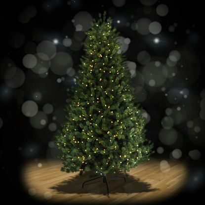 Full Swiss Pine 7.5 foot artificial Christmas tree, spotlit and lighted on black background with wooden floor.