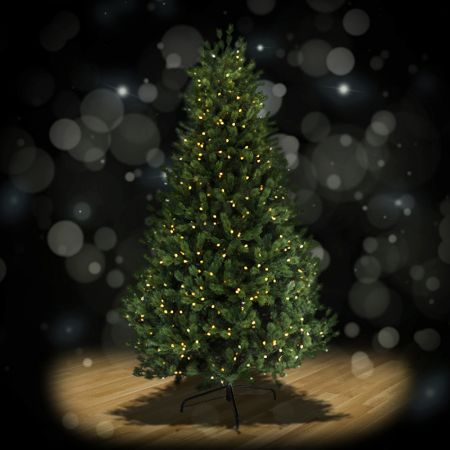 Picture for category Swiss Pine