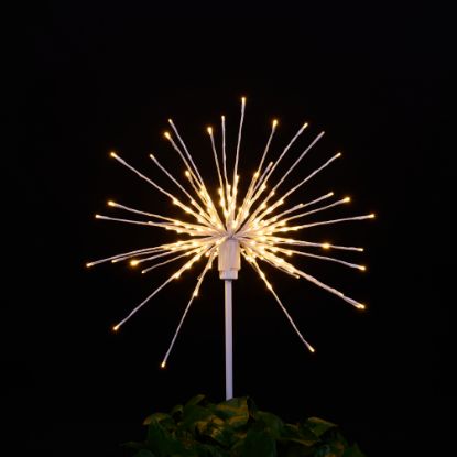 Odyssey Spritzer Warm White24" staked lit on black background