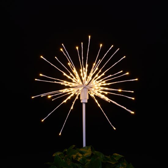 Odyssey Spritzer Warm White24" staked lit on black background