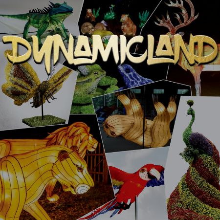 Picture for category Dynamicland