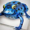 Picture of Lantern Arrow Frog