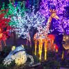 Giraffe lantern displayedwith other lanterns and lights
