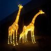 Group of lantern giraffes displayed lit