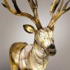 Picture of Lantern Buck