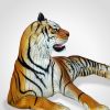 Lantern Tiger displayed on white background