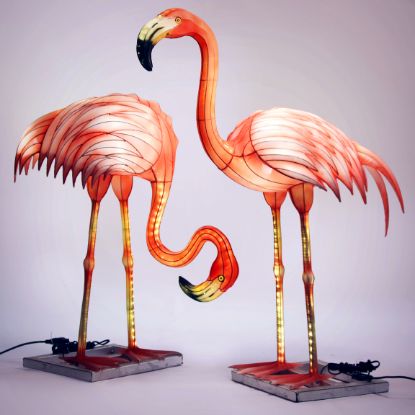 Picture of Lantern Flamingo