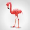 Picture of Lantern Flamingo