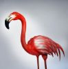 Picture of Lantern Flamingo