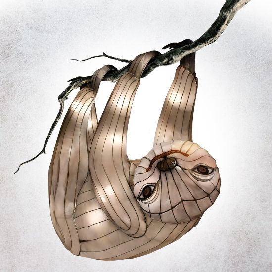 Picture of Lantern Twilight Sloth