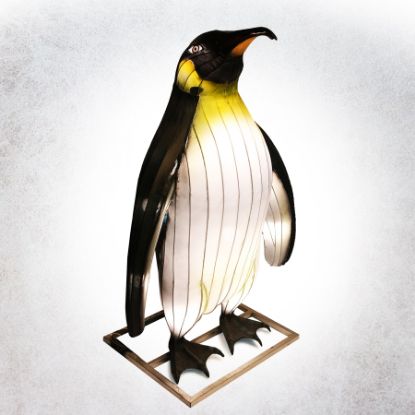 Lantern Twilight Penguin