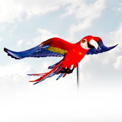 Lantern Twilight Macaw