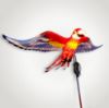 Lantern Twilight Macaw