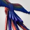 Lantern Twilight Macaw