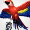 Lantern Twilight Macaw