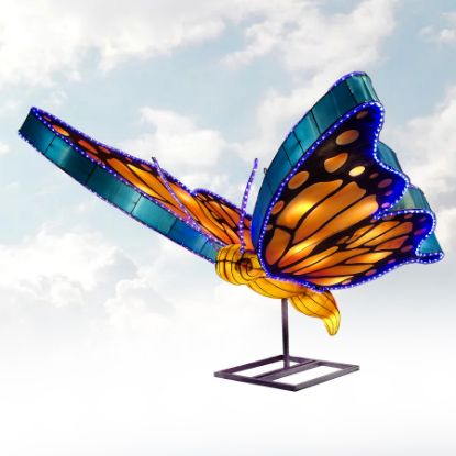 Lantern Twilight Butterfly