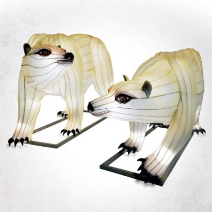 Lantern Polar Bear