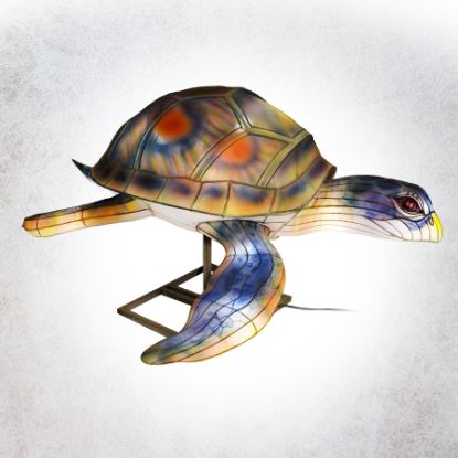 Lantern Sea Turtle