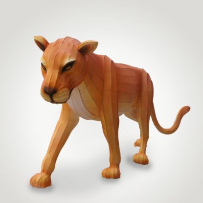 Lantern Lion, Female