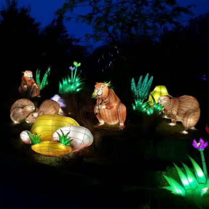 Lantern Beaver
