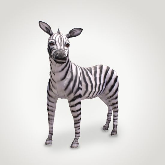 Lantern Zebra